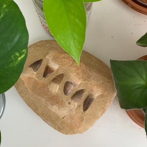 Large Fossil, Fossilized Teeth